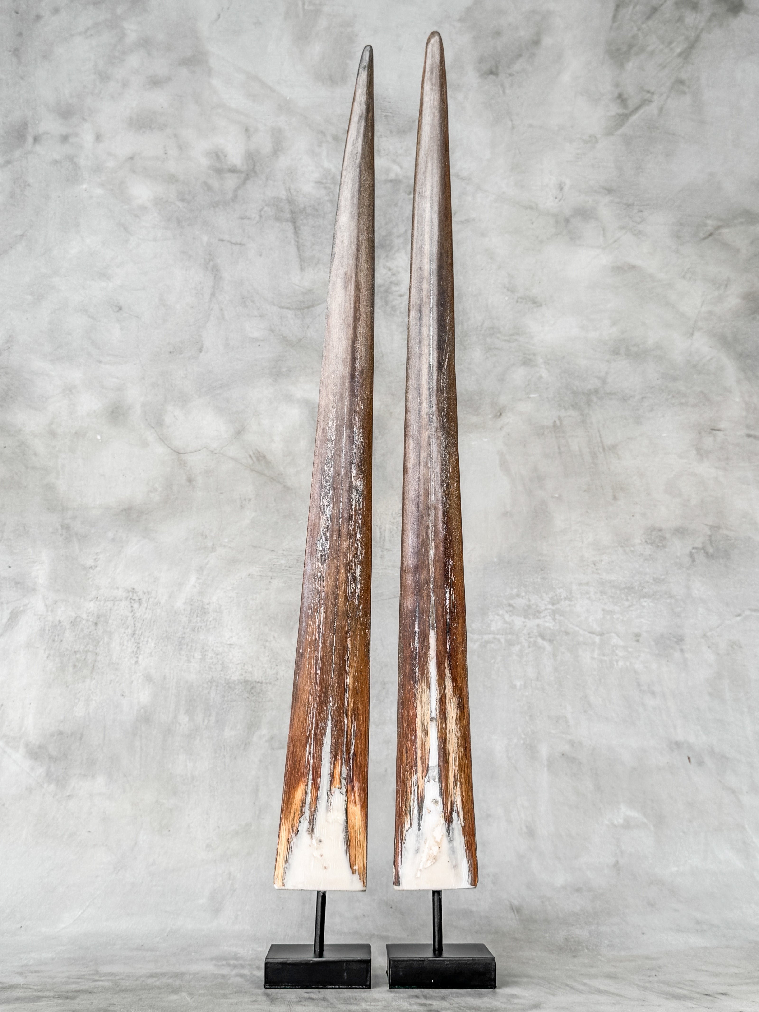 Pair of Natural Tusks on Stand – Rustic Bone Sculpture, Tribal-Inspired Decor, Earthy Accent - Tusk,A/052