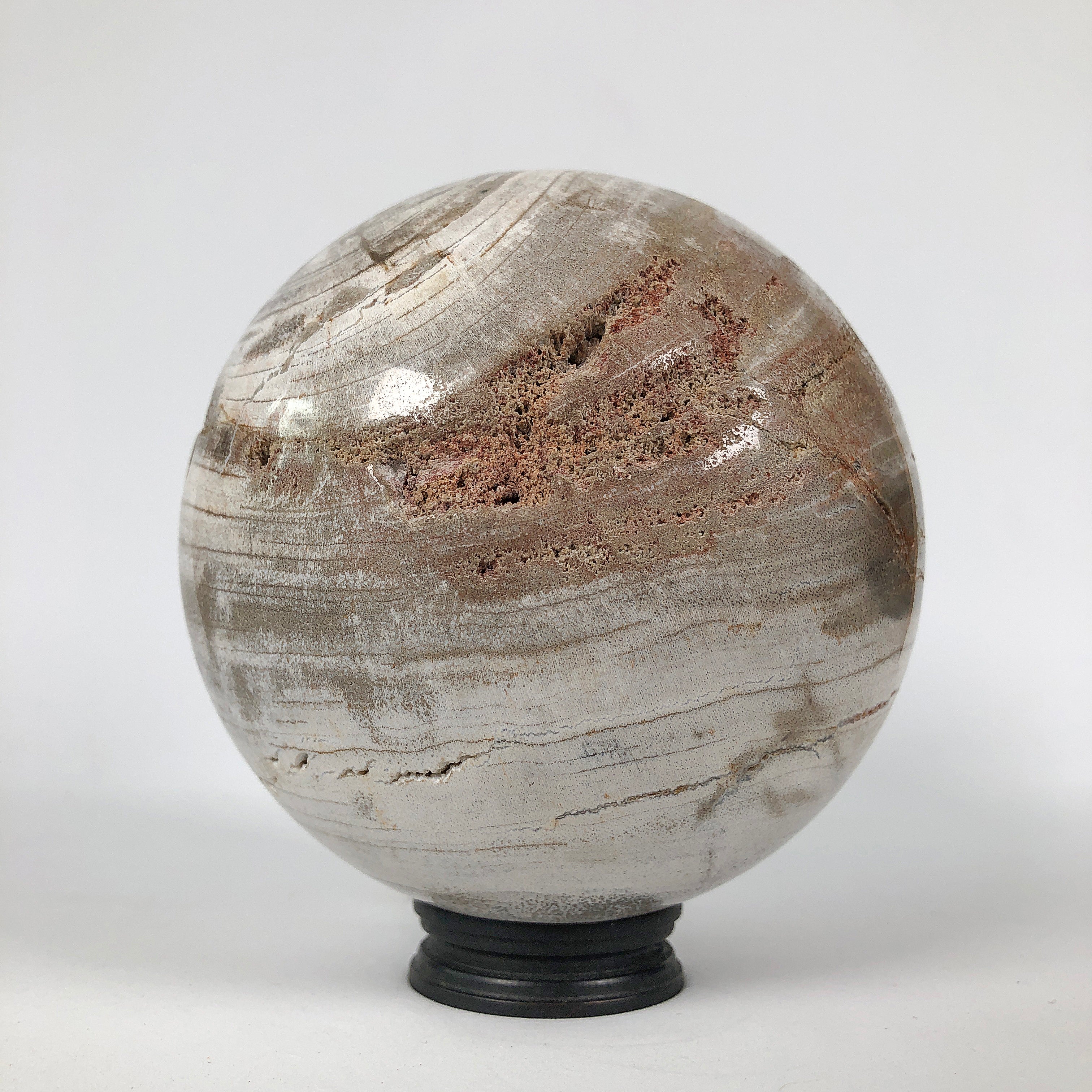 Wonderful Petrified Wood Sphere on a Custom Stand PS 530