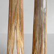 A pair of Tusks on Stand  22/EX/373