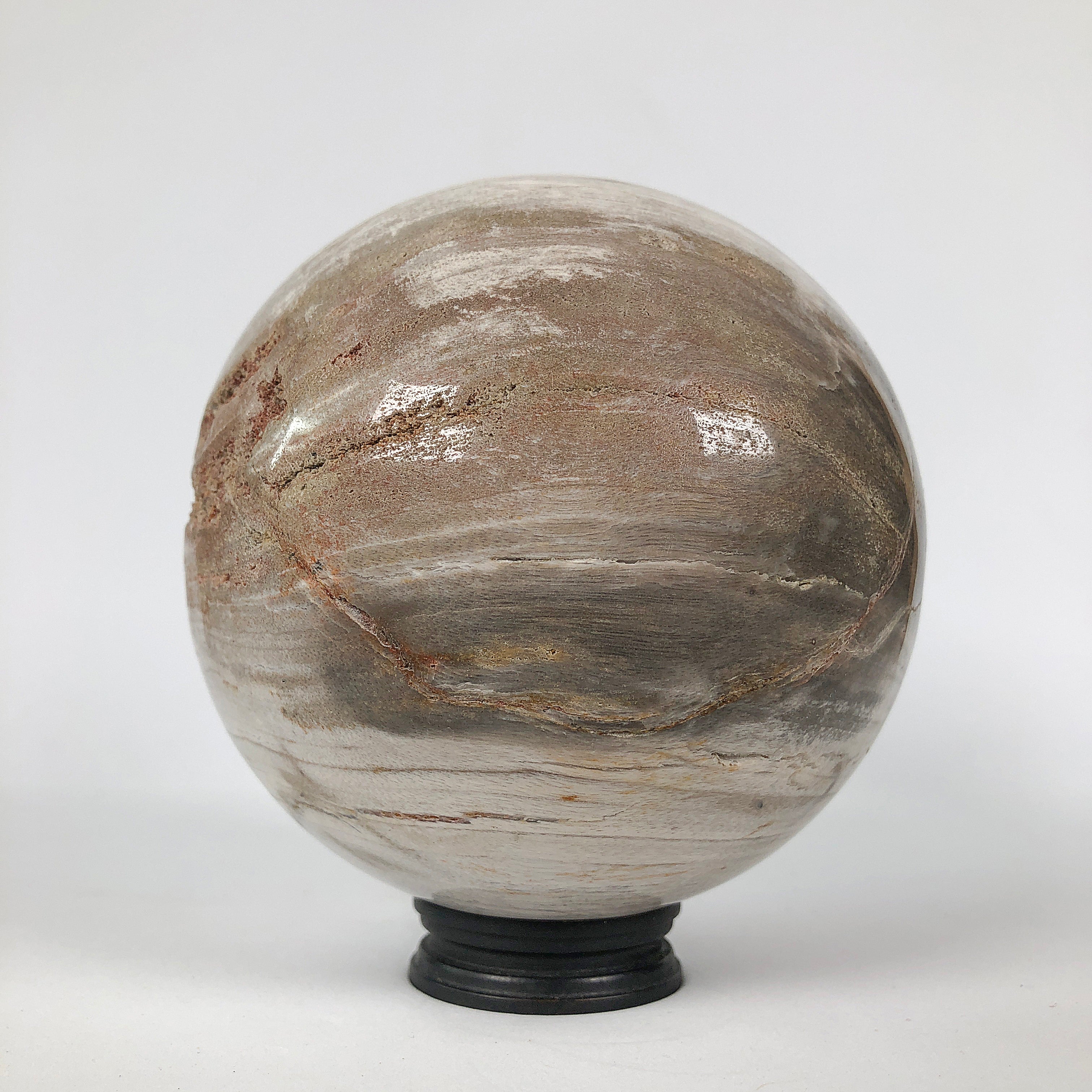 Wonderful Petrified Wood Sphere on a Custom Stand PS 530