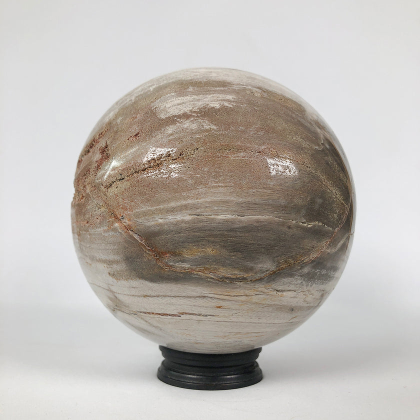 Wonderful Petrified Wood Sphere on a Custom Stand PS 530