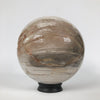 Wonderful Petrified Wood Sphere on a Custom Stand PS 530