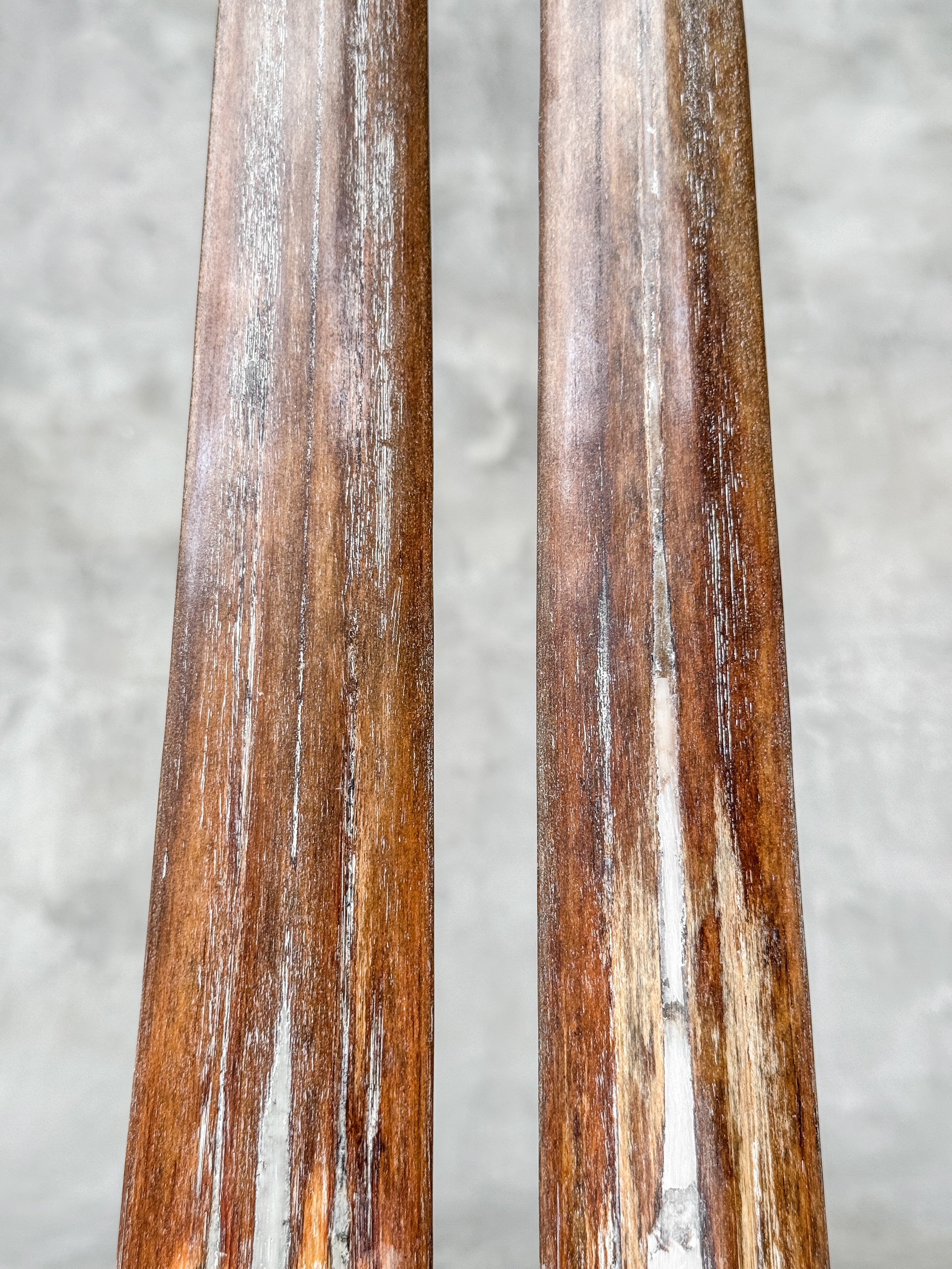 Pair of Natural Tusks on Stand – Rustic Bone Sculpture, Tribal-Inspired Decor, Earthy Accent - Tusk,A/052