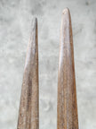 Pair of Natural Tusks on Stand – Rustic Bone Sculpture, Tribal-Inspired Decor, Earthy Accent - Tusk,A/052