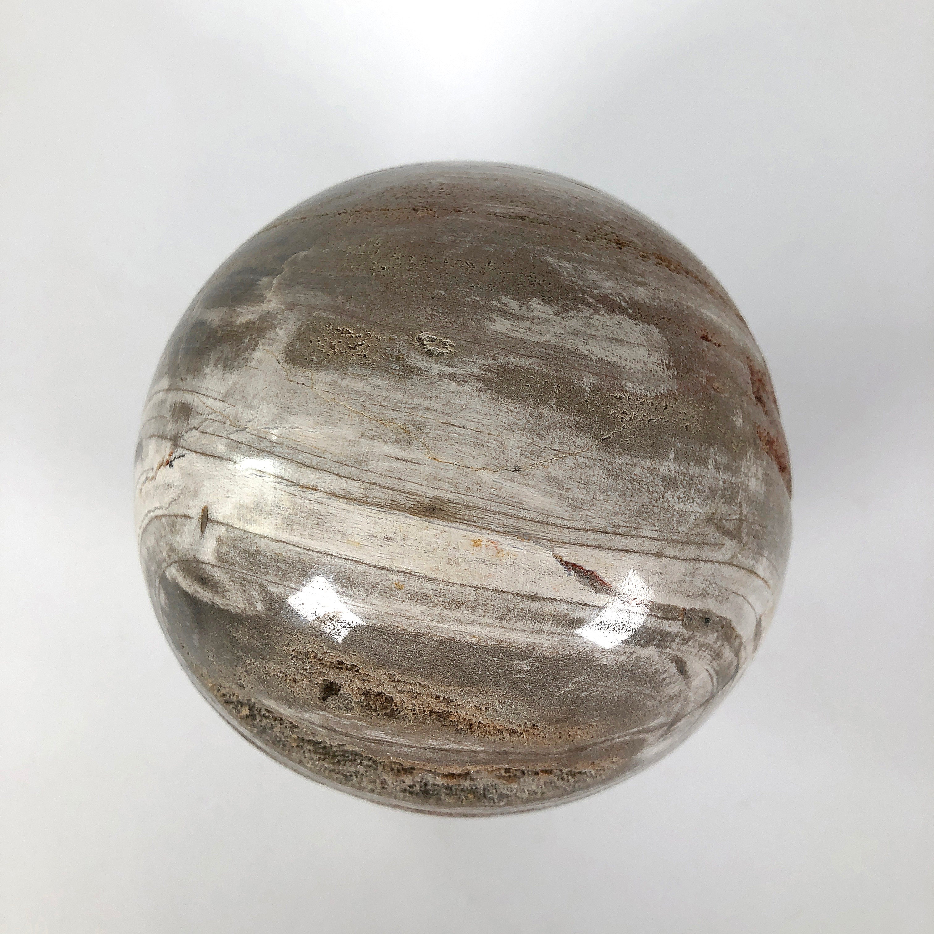 Wonderful Petrified Wood Sphere on a Custom Stand PS 530