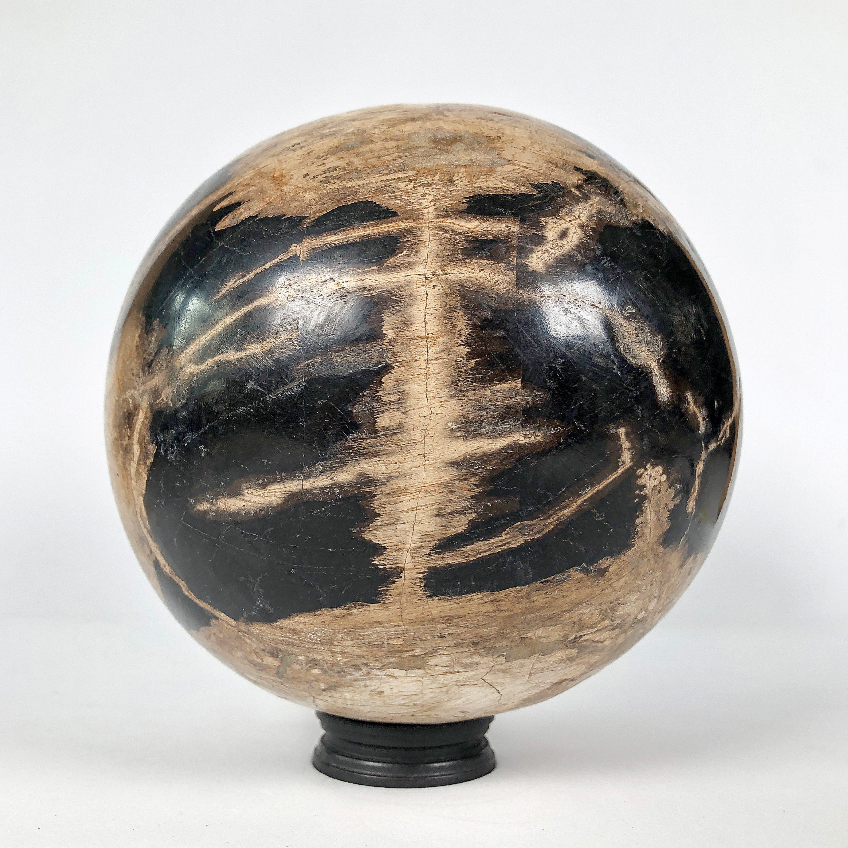 Wonderful Petrified Wood Sphere on a Custom Stand PS 532