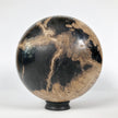 Wonderful Petrified Wood Sphere on a Custom Stand PS 532