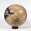 Wonderful Petrified Wood Sphere on a Custom Stand PS 532