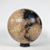 Wonderful Petrified Wood Sphere on a Custom Stand PS 532