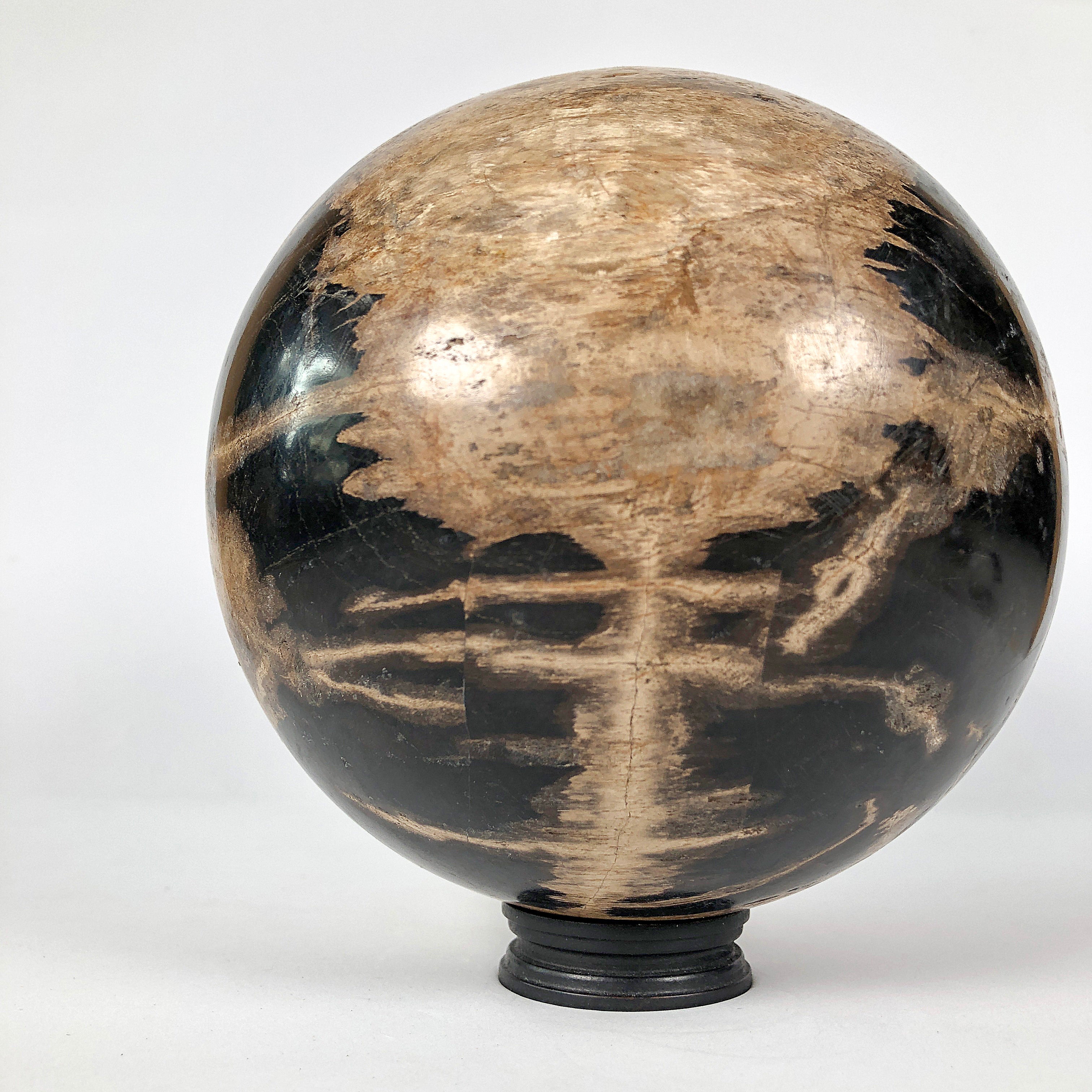 Wonderful Petrified Wood Sphere on a Custom Stand PS 532