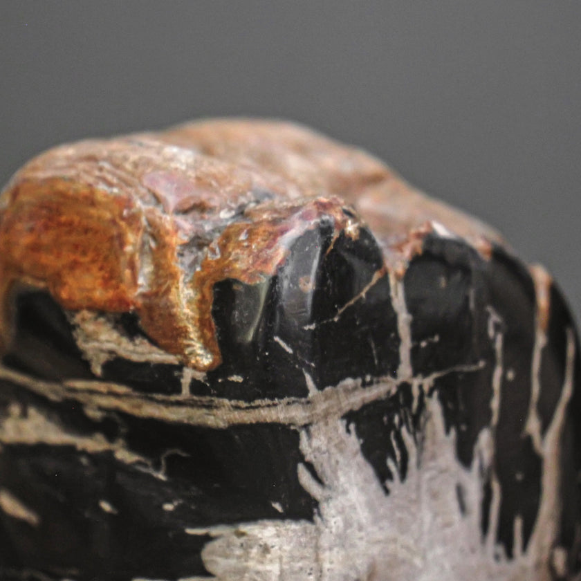 Polished Petrified Wood Freeform on a custom stand PetW/116