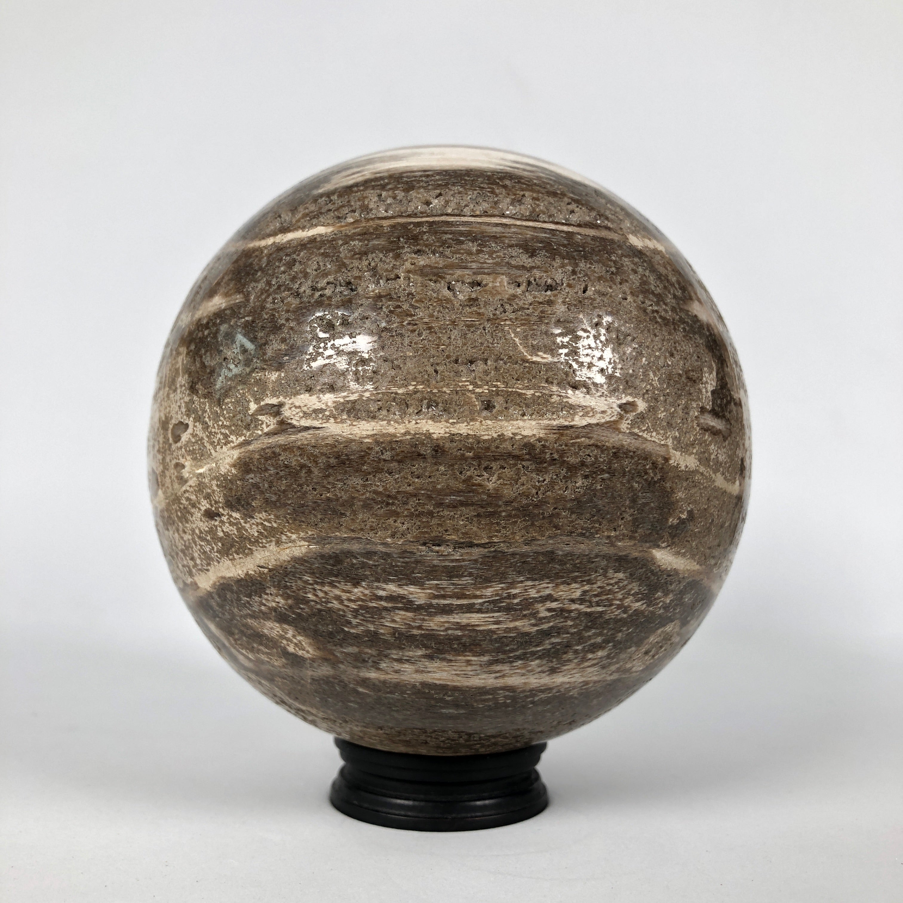 Wonderful Petrified Wood Sphere on a Custom Stand PS 526