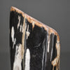 Polished Petrified Wood Freeform on a custom stand PetW/116