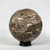 Wonderful Petrified Wood Sphere on a Custom Stand PS 526