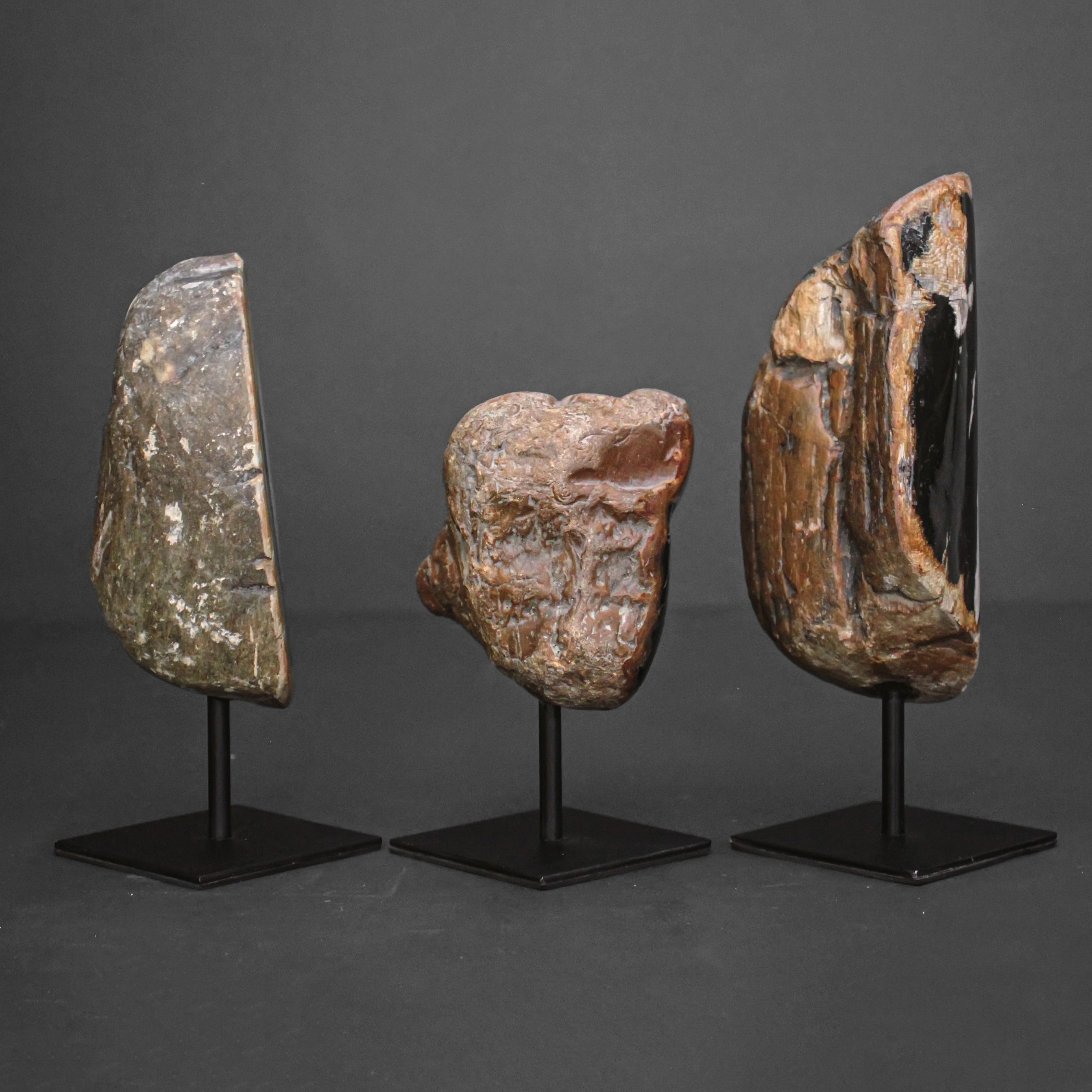 Polished Petrified Wood Freeform on a custom stand PetW/116