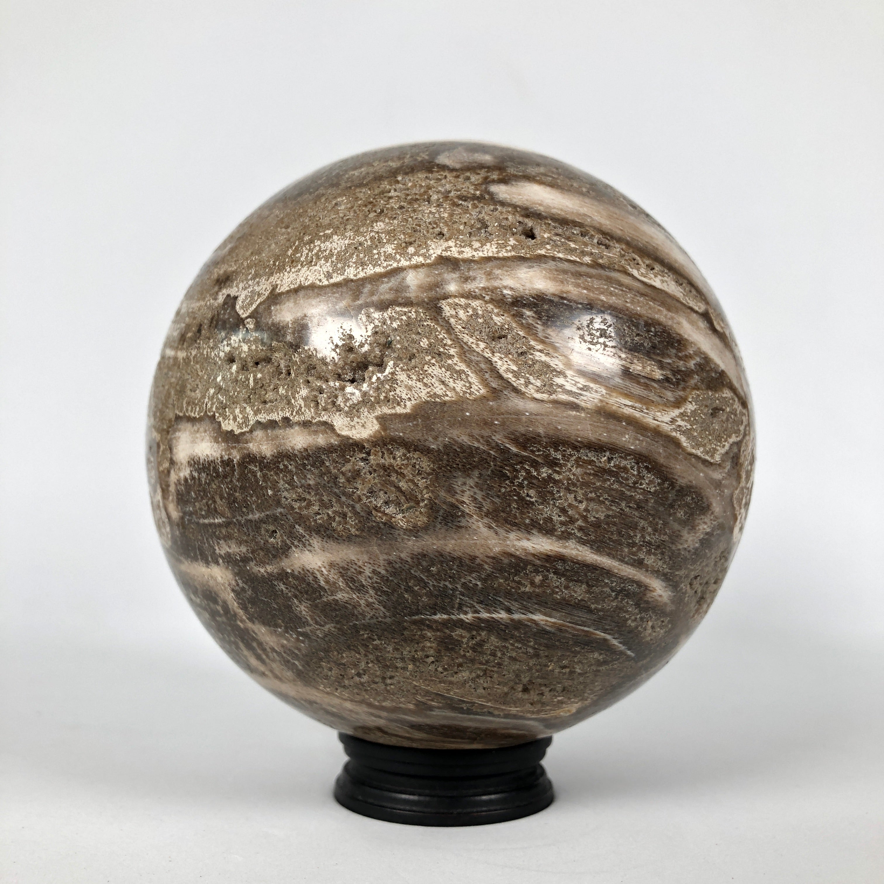 Wonderful Petrified Wood Sphere on a Custom Stand PS 526