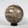 Wonderful Petrified Wood Sphere on a Custom Stand PS 526