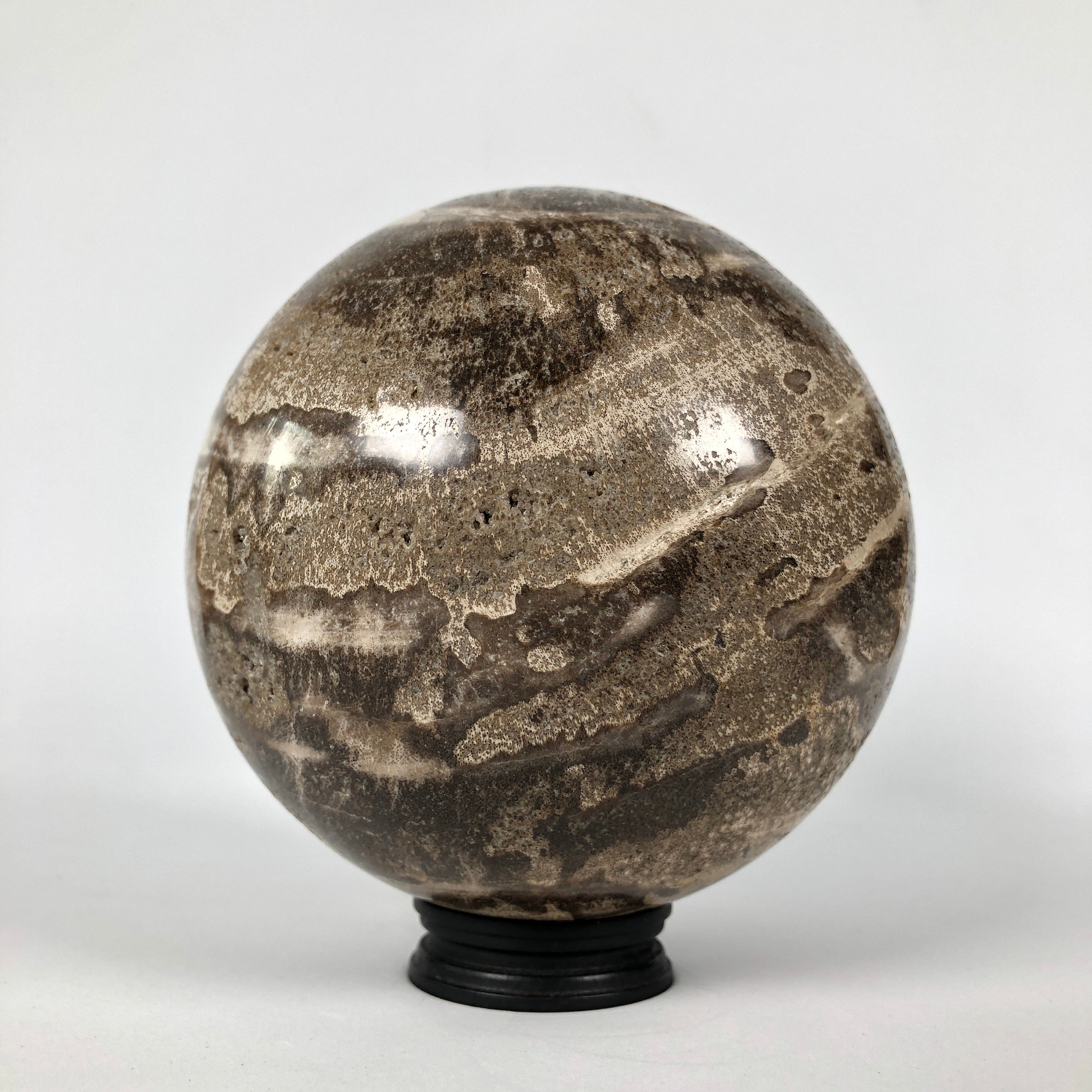 Wonderful Petrified Wood Sphere on a Custom Stand PS 526