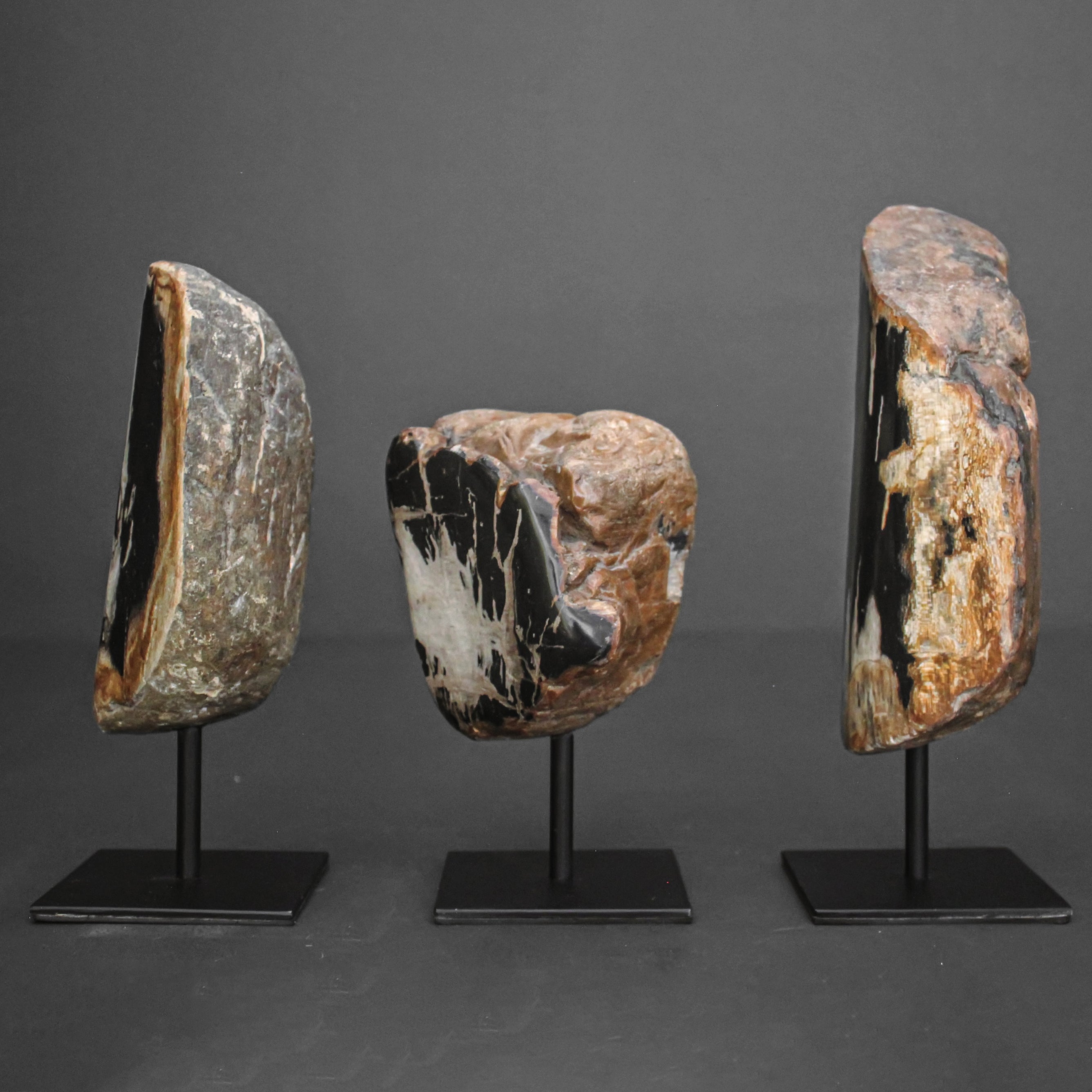 Polished Petrified Wood Freeform on a custom stand PetW/116