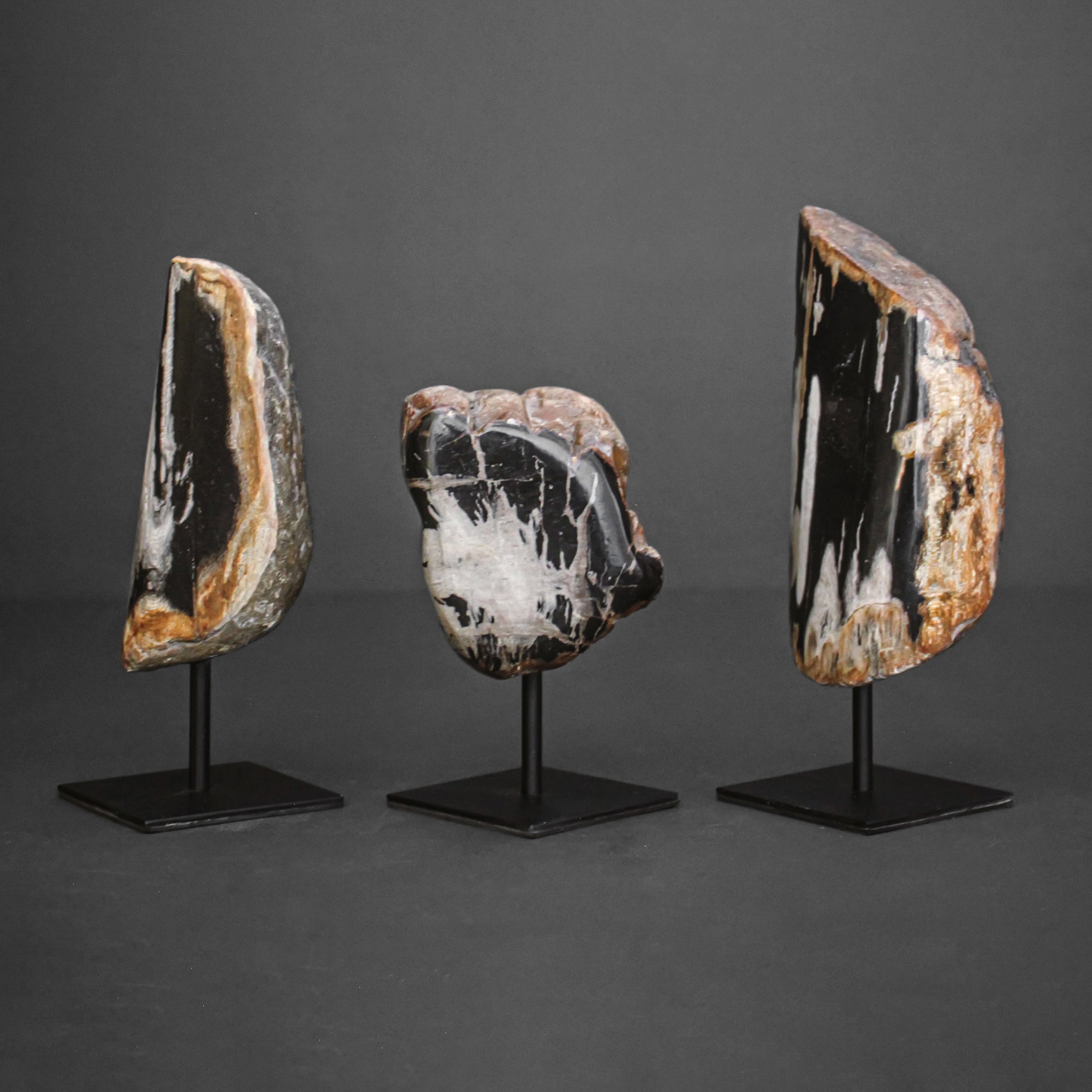 Polished Petrified Wood Freeform on a custom stand PetW/116