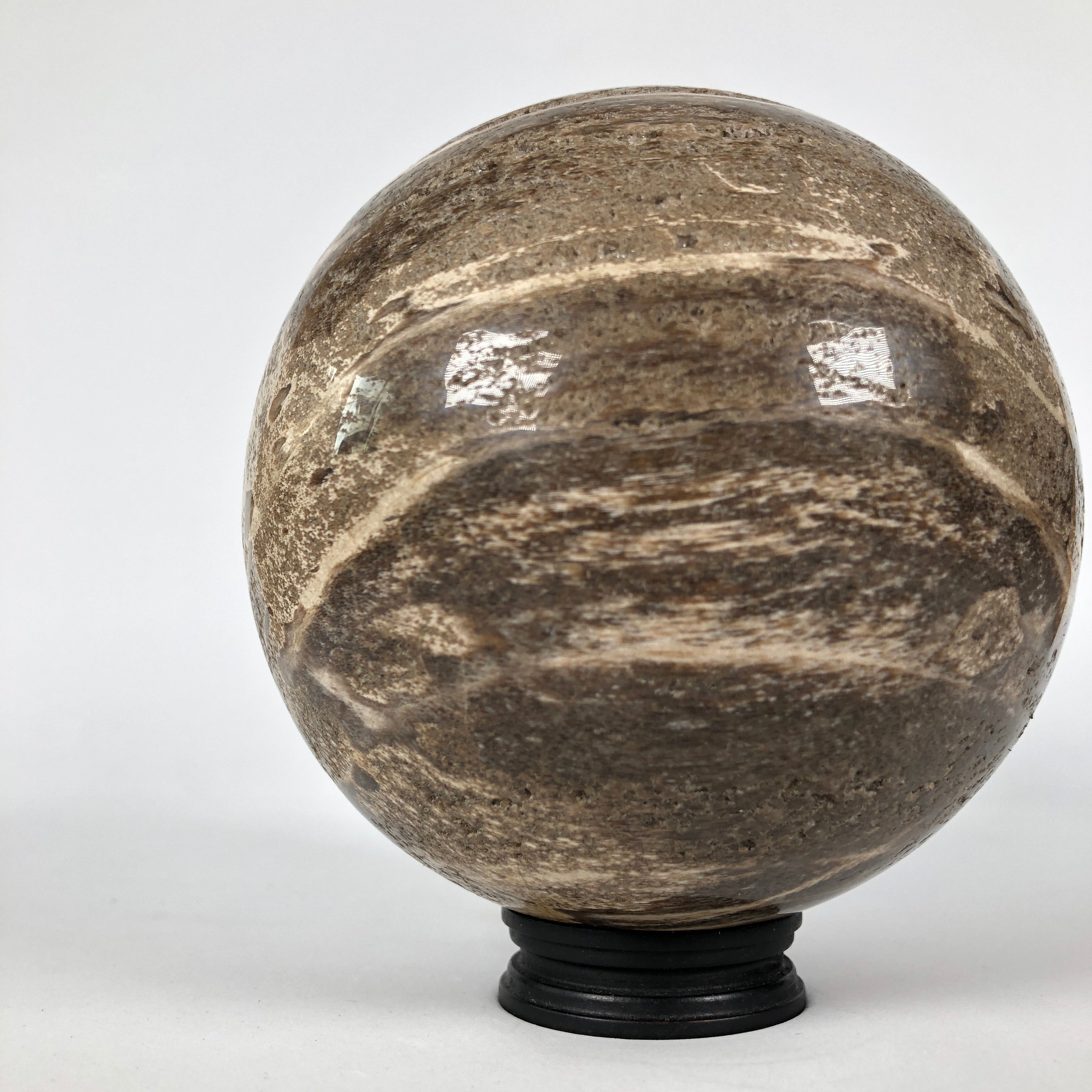 Wonderful Petrified Wood Sphere on a Custom Stand PS 526