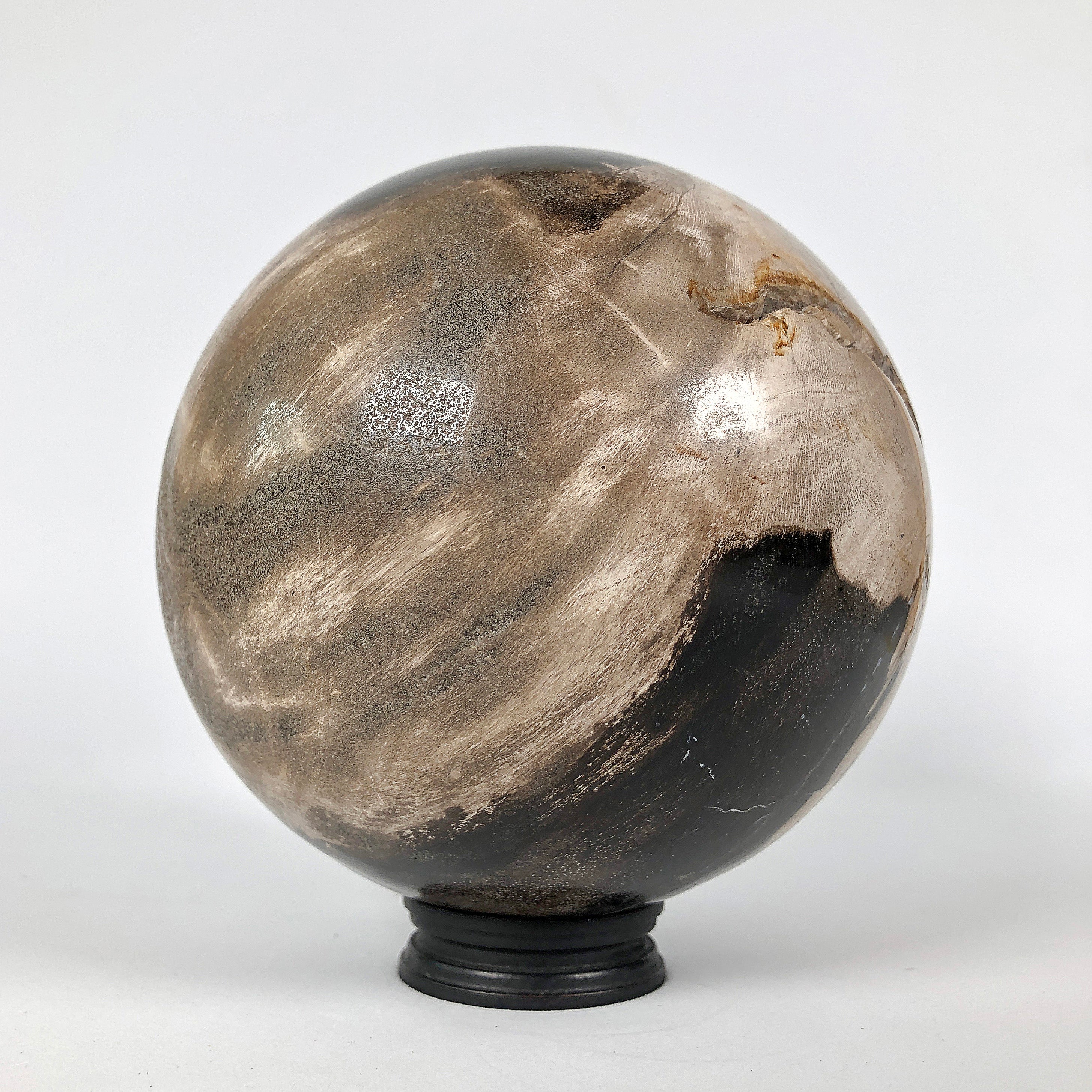 Wonderful Petrified Wood Sphere on a Custom Stand PS 536