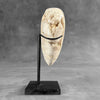 Wonderful White Druzy Crystal Sphere on a custom stand CH/529