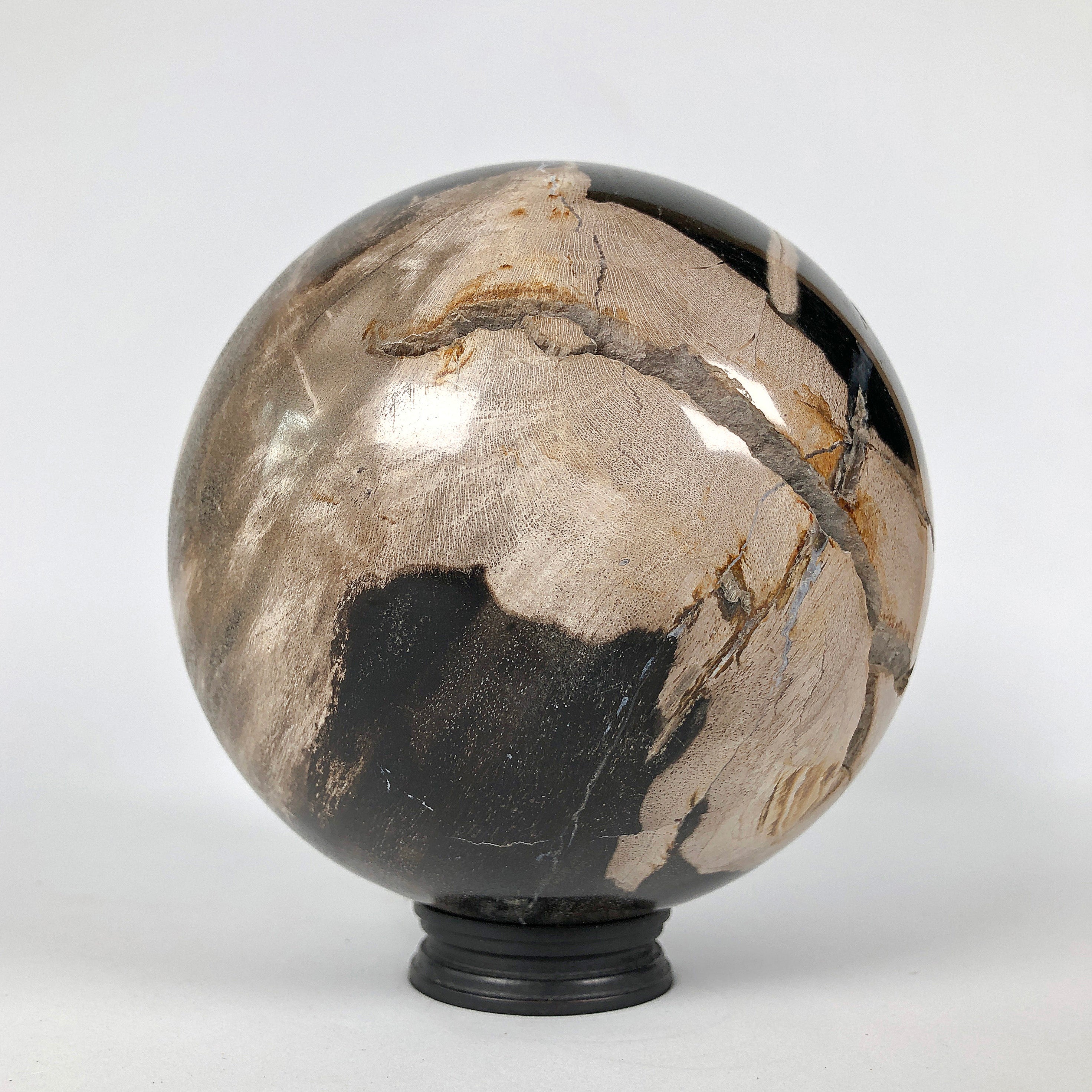 Wonderful Petrified Wood Sphere on a Custom Stand PS 536