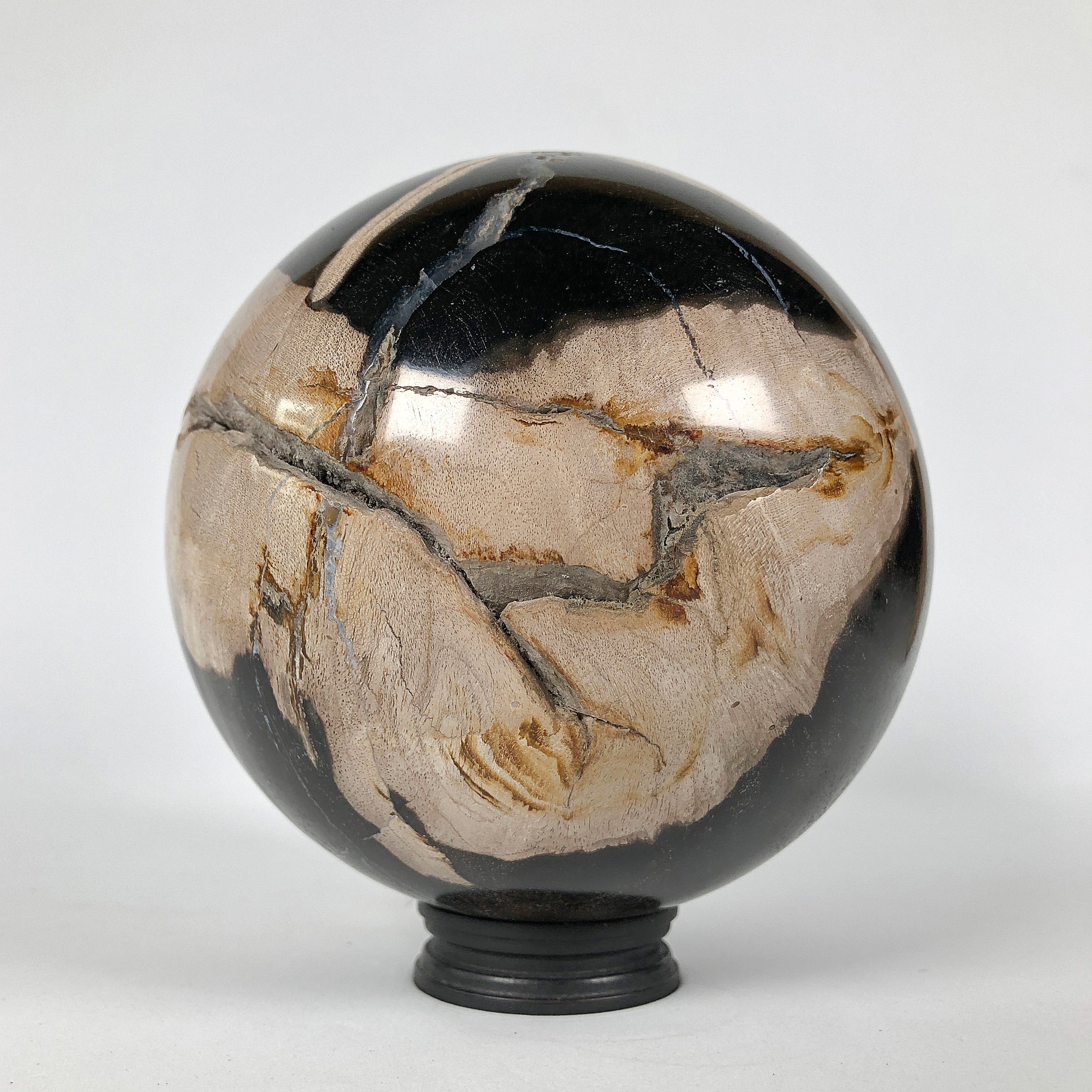 Wonderful Petrified Wood Sphere on a Custom Stand PS 536