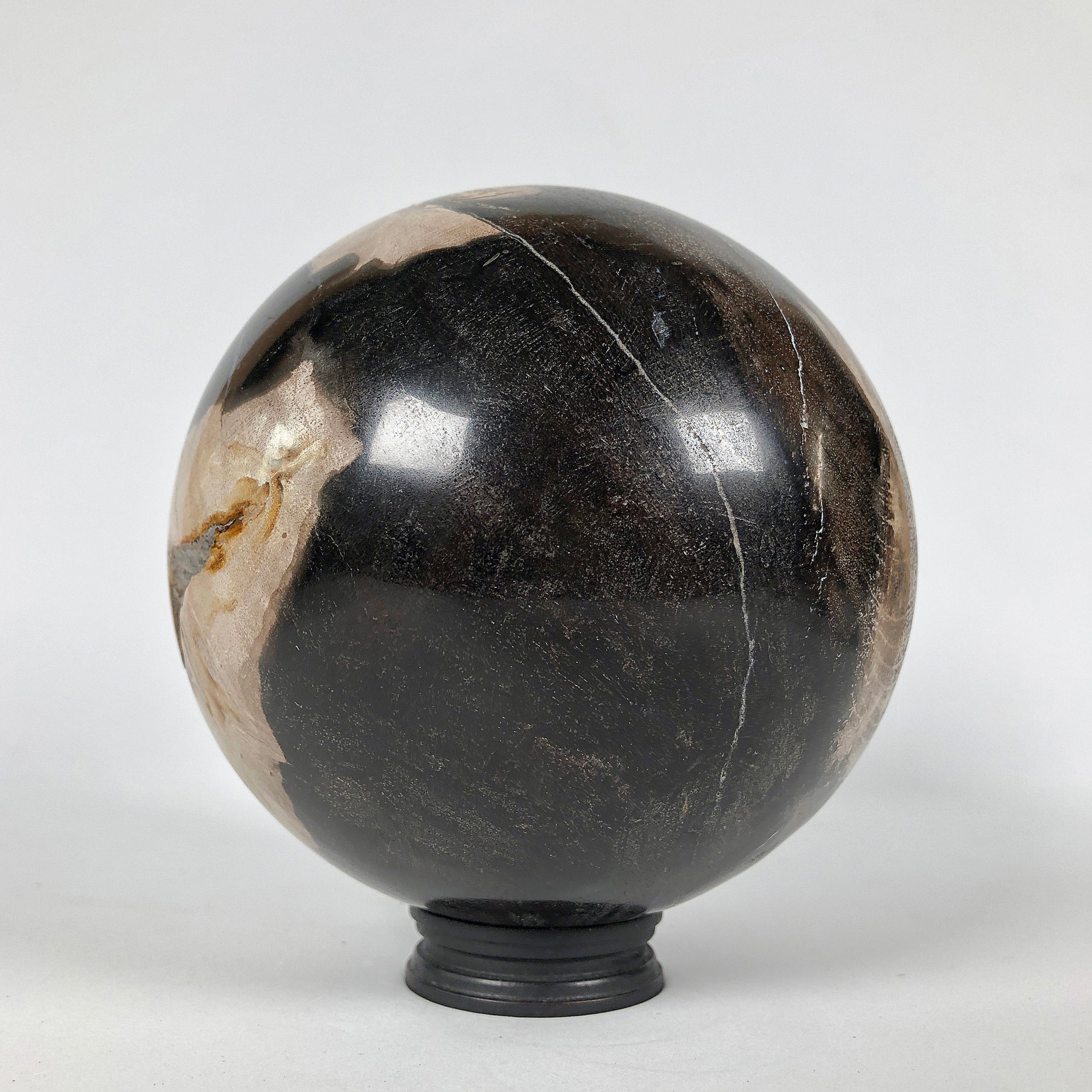 Wonderful Petrified Wood Sphere on a Custom Stand PS 536