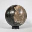 Wonderful Petrified Wood Sphere on a Custom Stand PS 536