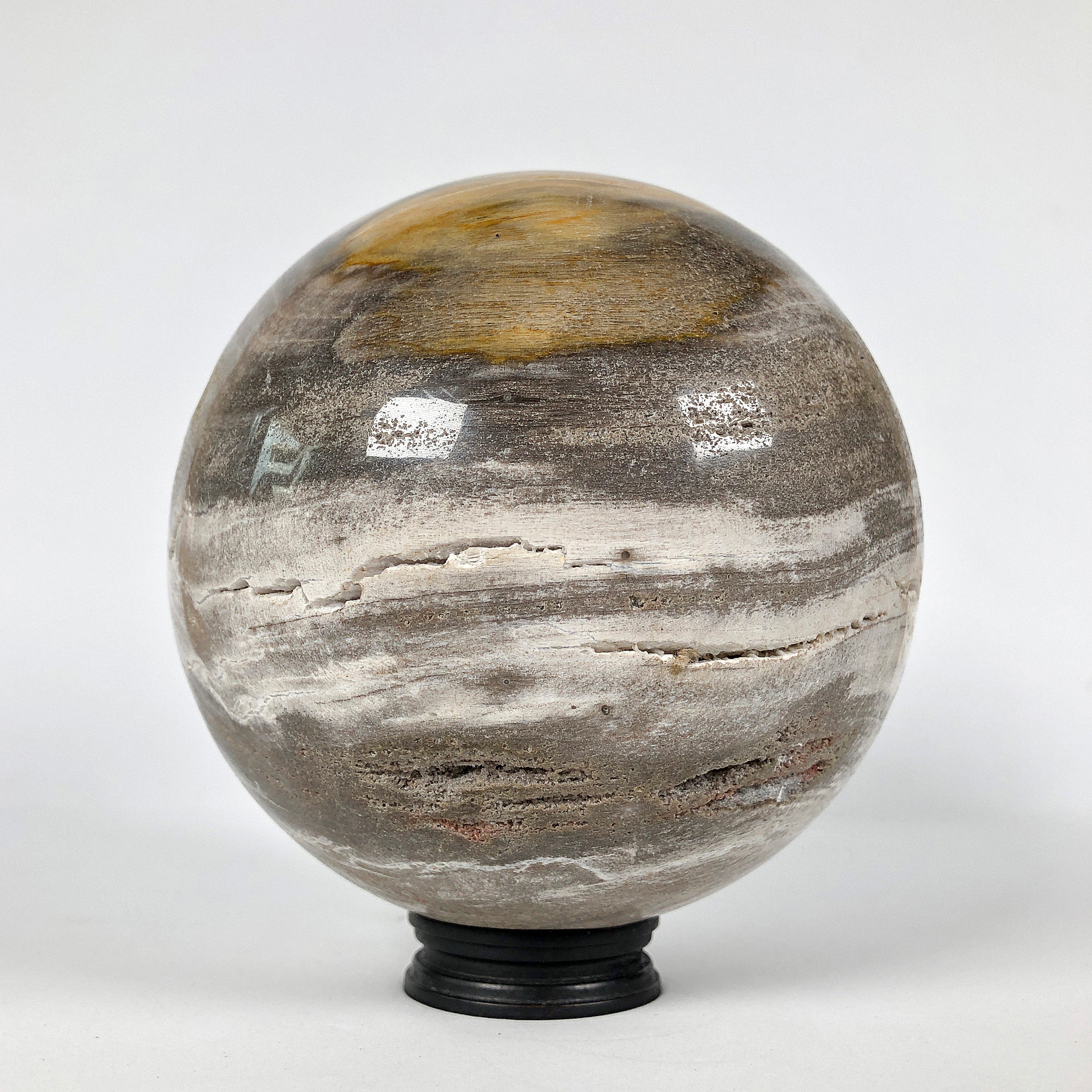 Wonderful Petrified Wood Sphere on a Custom Stand PS 533