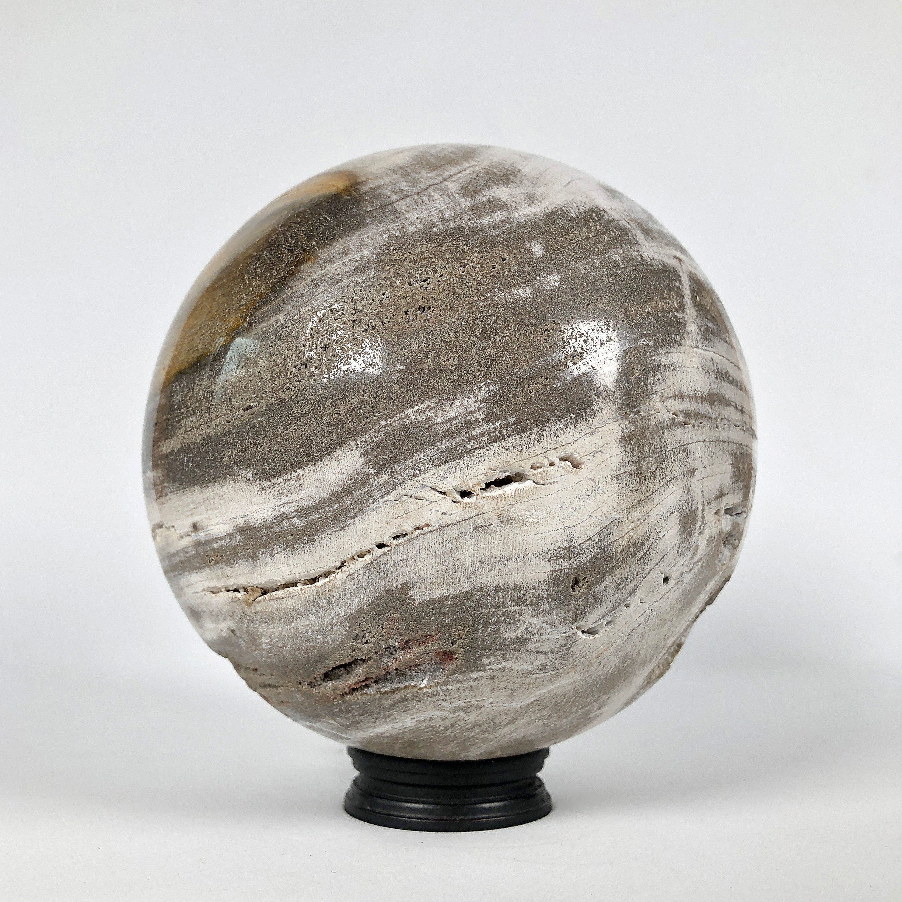 Wonderful Petrified Wood Sphere on a Custom Stand PS 533