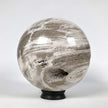 Wonderful Petrified Wood Sphere on a Custom Stand PS 533