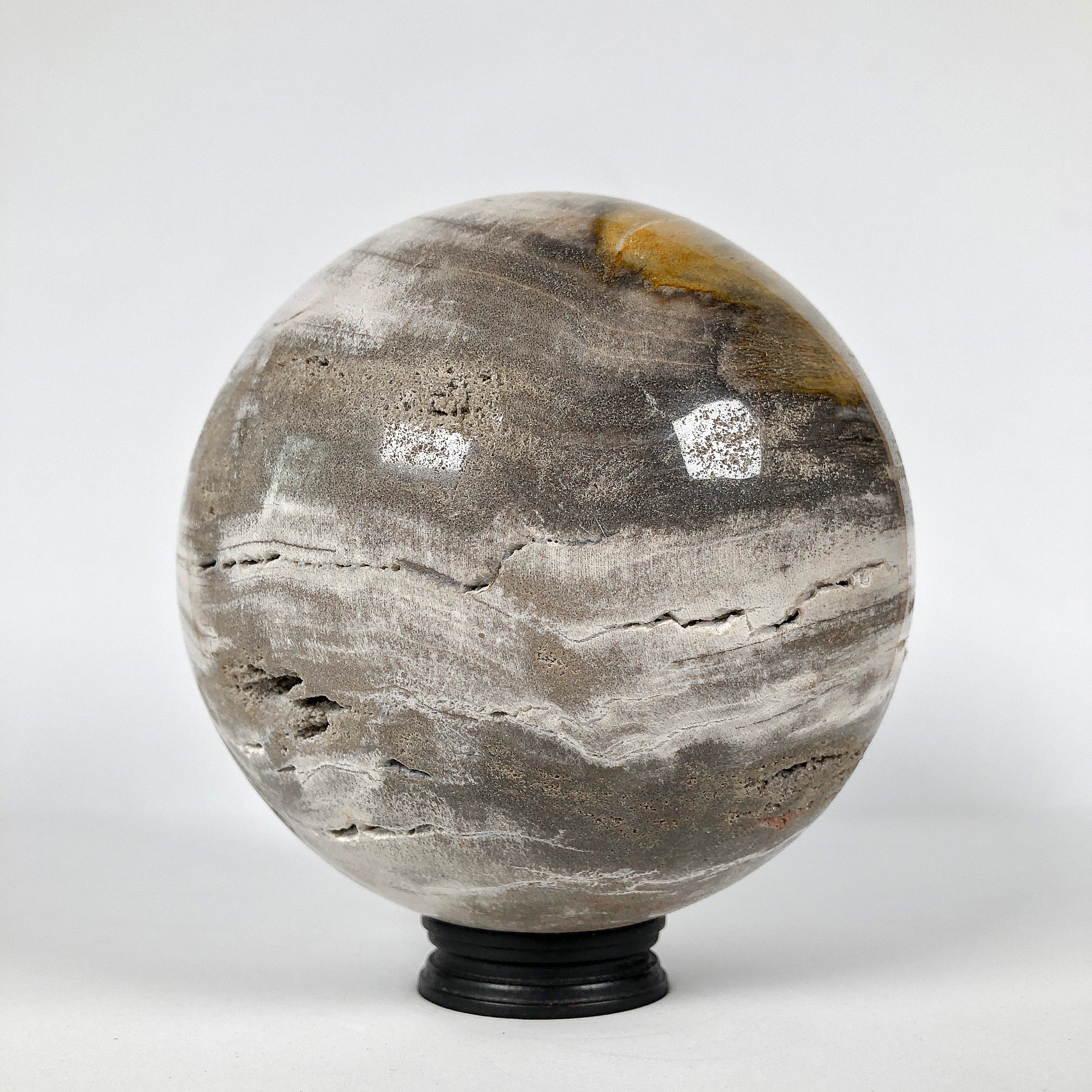 Wonderful Petrified Wood Sphere on a Custom Stand PS 533