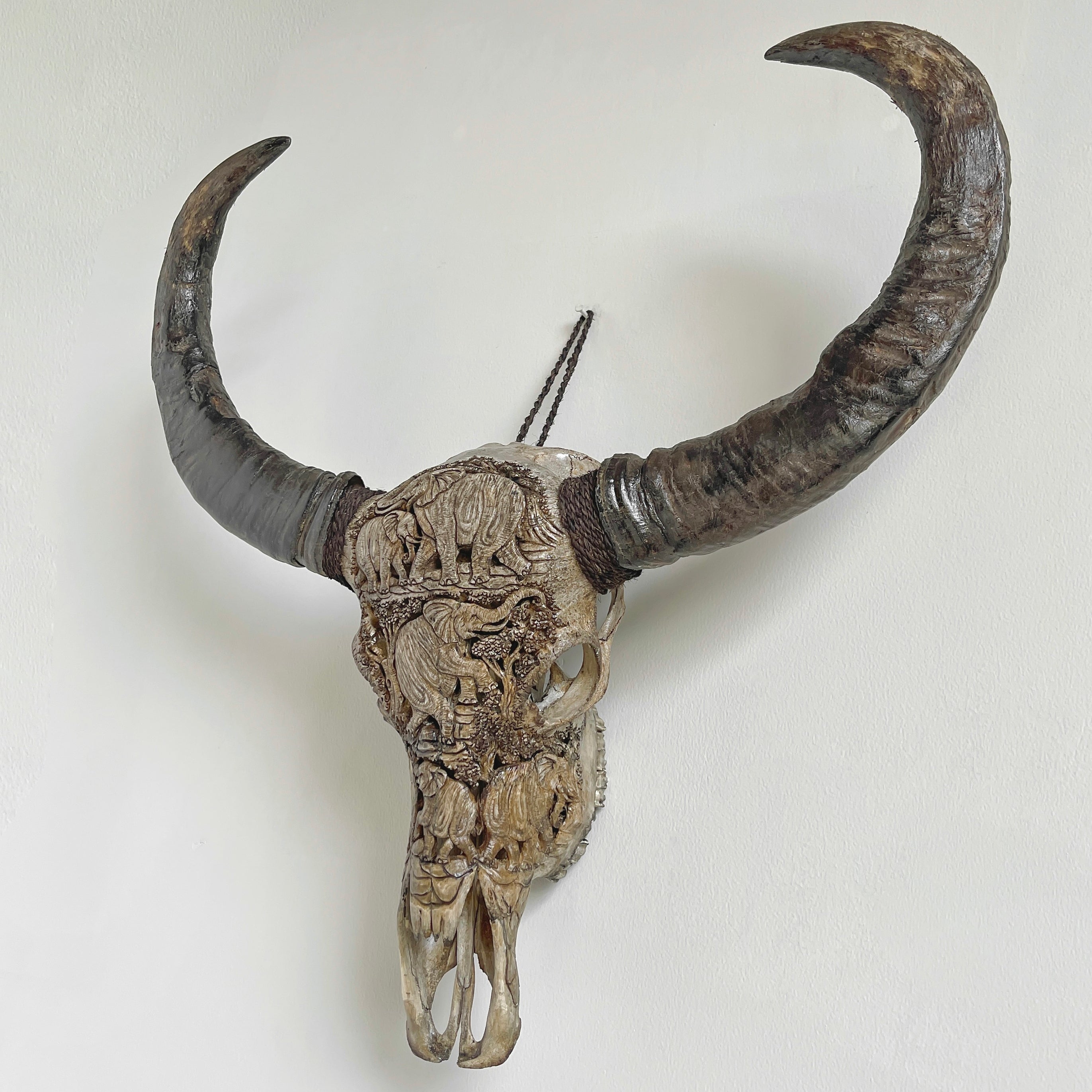 Real Carved Buffalo Skull 22/EX/364