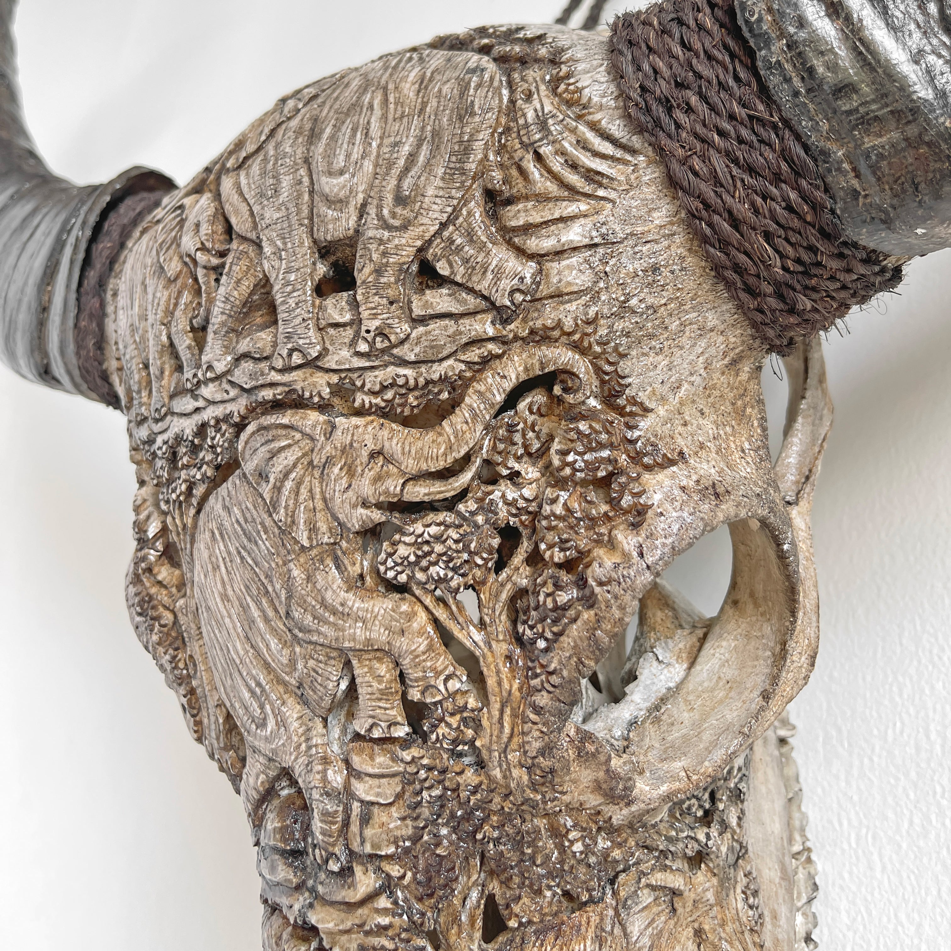 Real Carved Buffalo Skull 22/EX/364