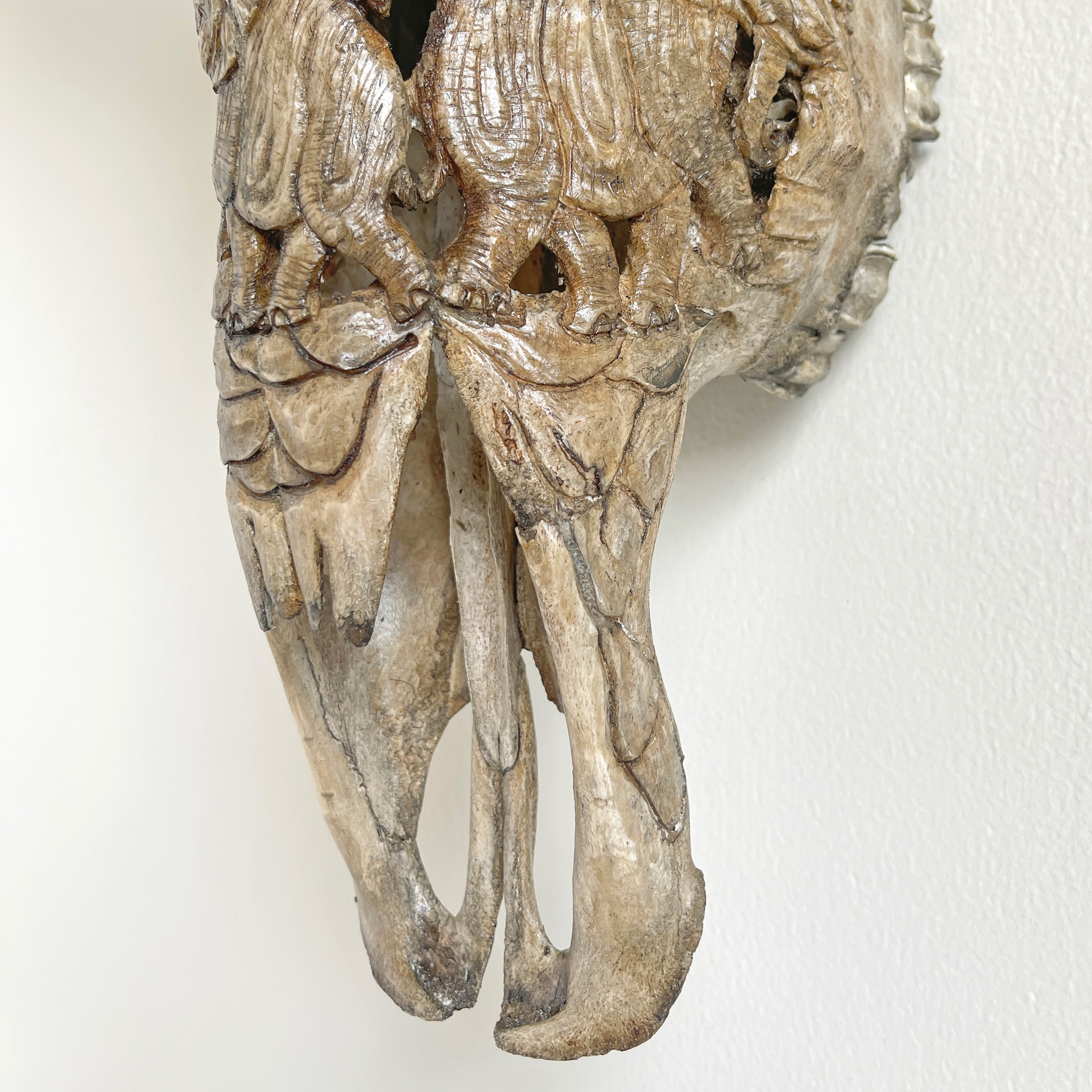 Real Carved Buffalo Skull 22/EX/364