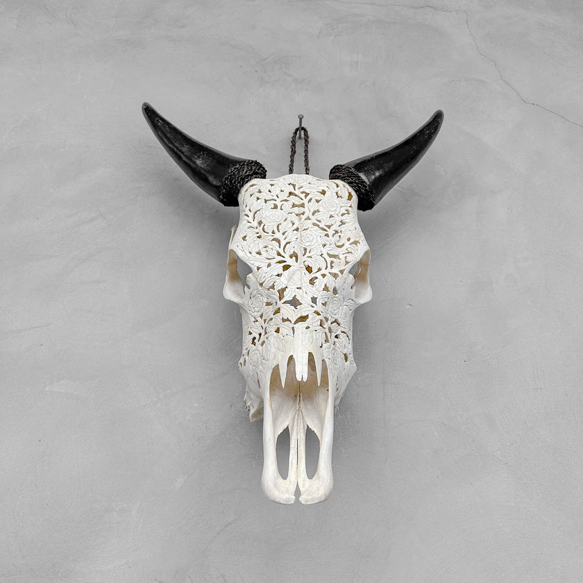 Carved Cow Skull Rose carving 9Y/040