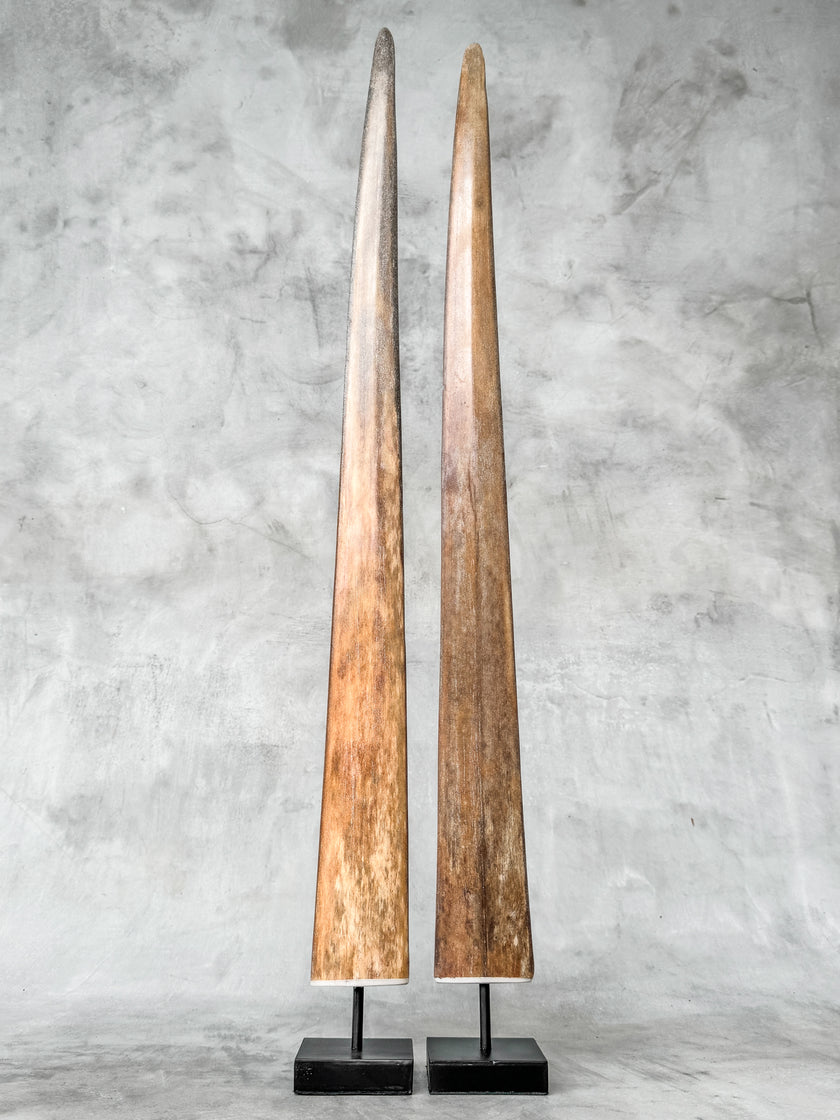 A Pair of Tusks on stand  | Tusk,A/053