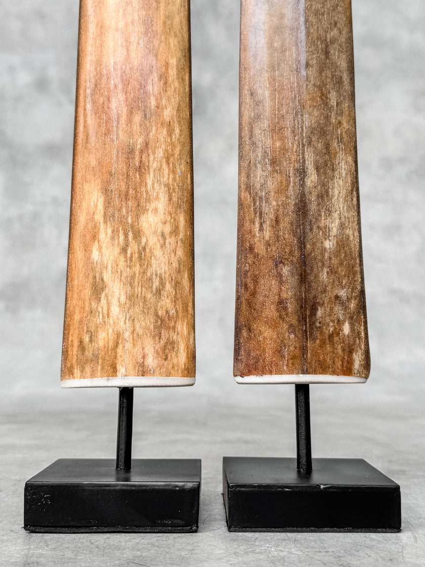 A Pair of Tusks on stand  | Tusk,A/053