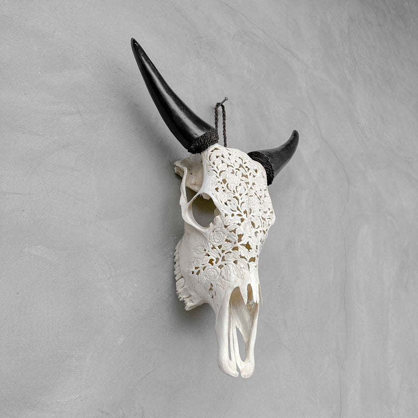 Carved Cow Skull Rose carving 9Y/040