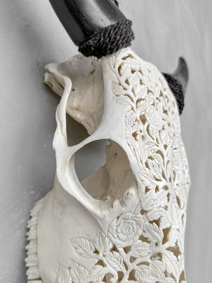 Carved Cow Skull Rose carving 9Y/040