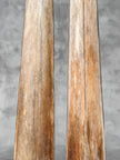 Pair of Natural Tusks on Stand – Bone Sculpture, Tribal Home Decor, Rustic Accent - Tusk,A/046