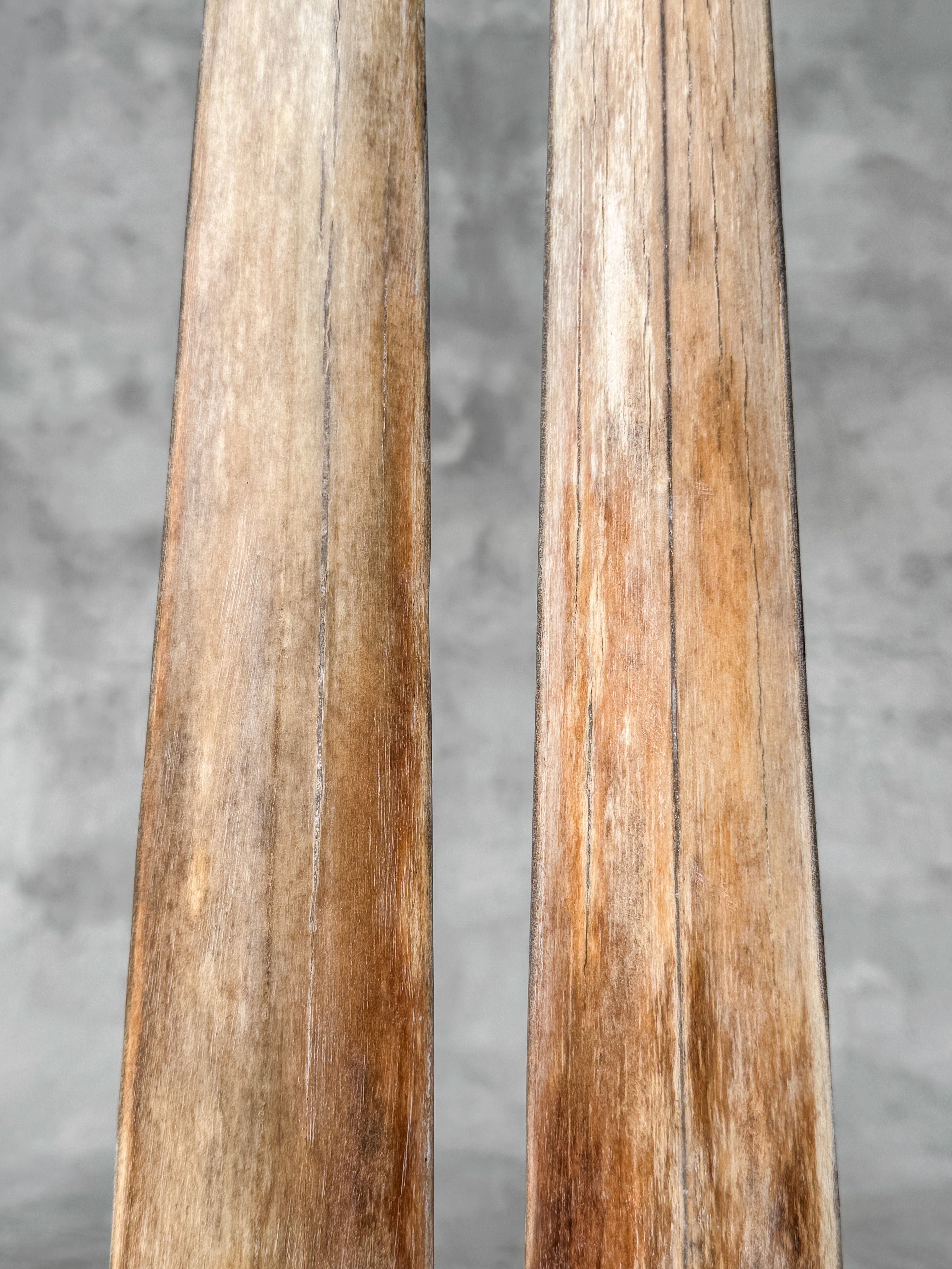 Pair of Natural Tusks on Stand – Bone Sculpture, Tribal Home Decor, Rustic Accent - Tusk,A/046
