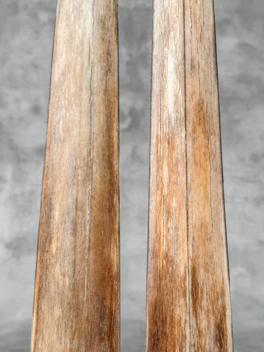 A Pair of Tusks on stand  | Tusk,A/046