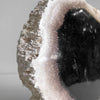 A Beautiful Slice of Petrified Palm Root on stand  PetW/058