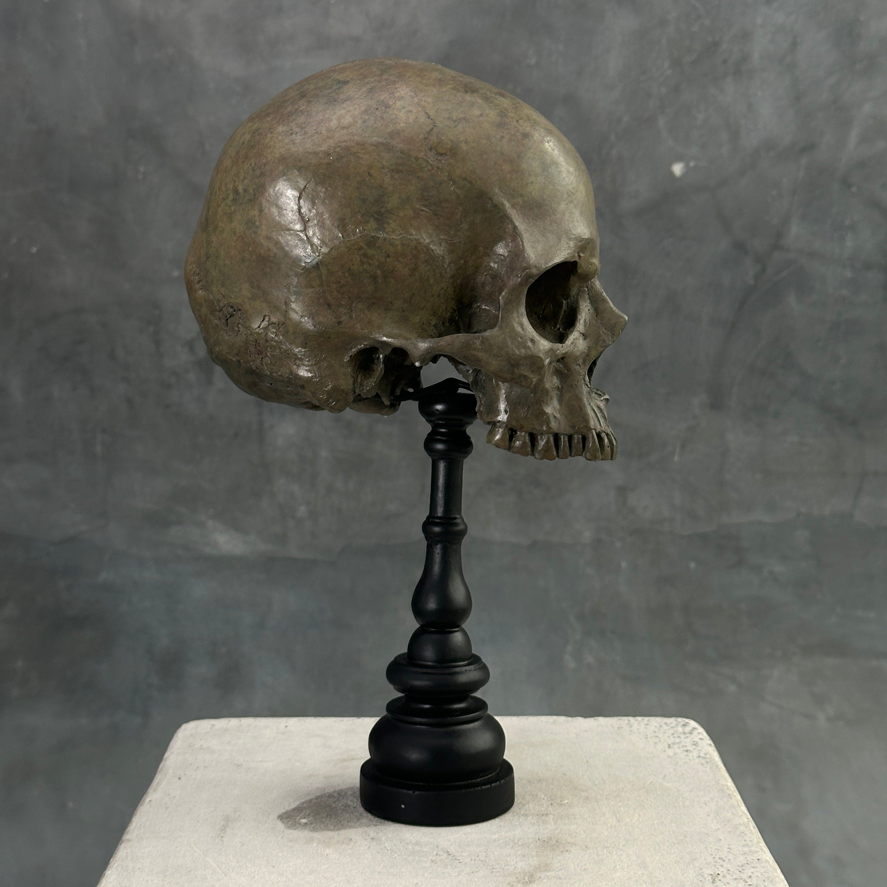 Human Skull No Jaw Brown - RS027