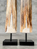 Pair of Natural Tusks on Stand – Bone Sculpture, Tribal Home Decor, Rustic Accent - Tusk,A/046