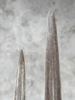Pair of Natural Tusks on Stand – Bone Sculpture, Tribal Home Decor, Rustic Accent - Tusk,A/046